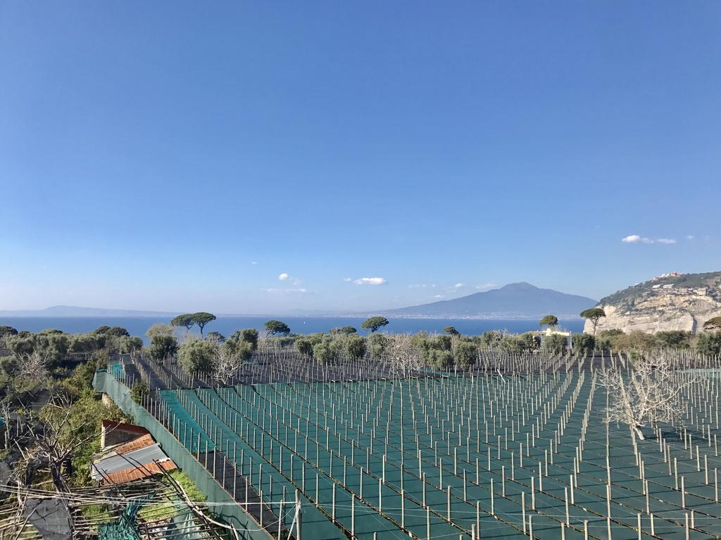 Estate4Home - Villa Lina Sant’Agnello Kültér fotó